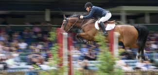 Assurance chevaux